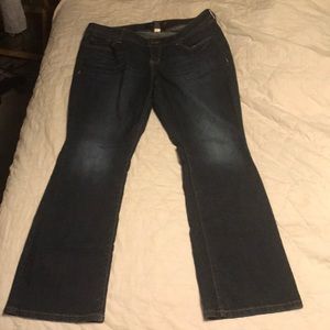 Torrid jeans